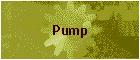 Pump